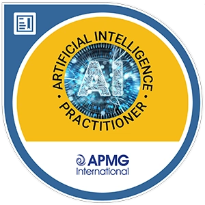 Professional AI governance practitioner training programme
